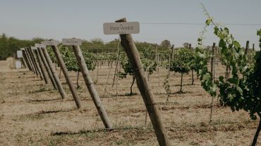 CASA GAMBOA - EXPERI&Ecirc;NCIA GAMBOA